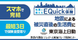 東京海上日動 EQuick保険