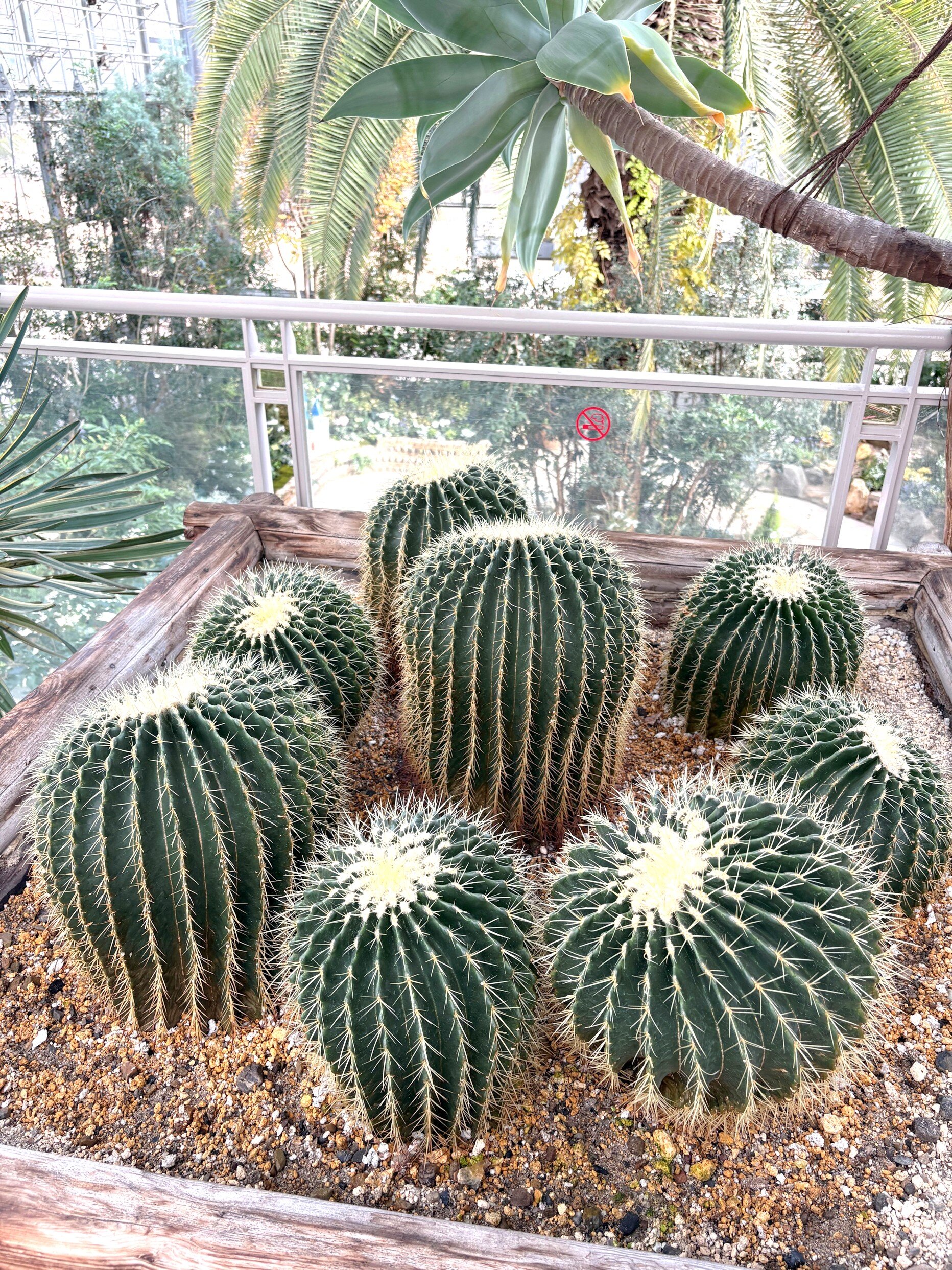 ⑤緑化植物園.jpg